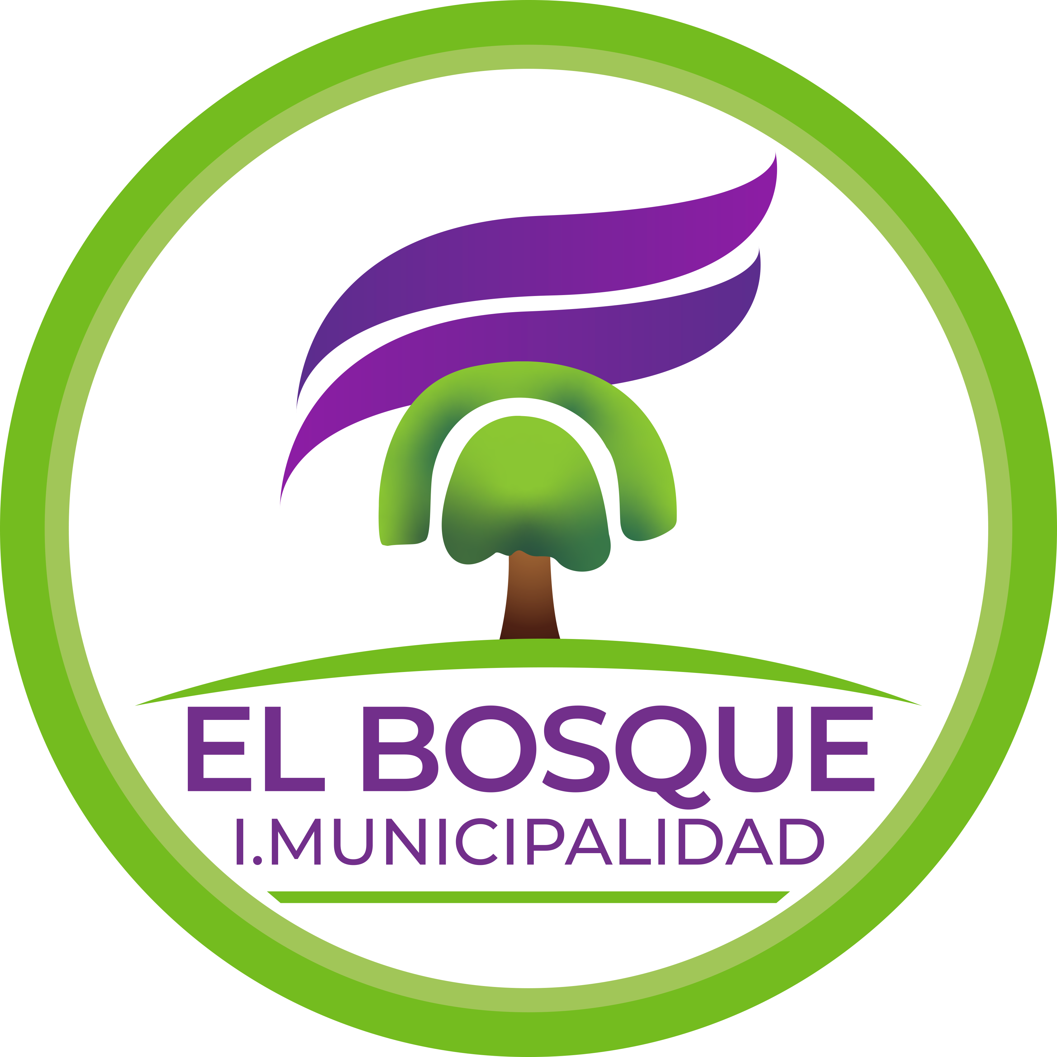 Categorías Aula Virtual OTEC El Bosque